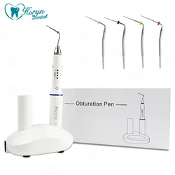 Dental Gutta Percha Endodontic Obturation Systems Endo Heated Pen Cordless Wireless with 4 Tips And 2 Batteries 110V/220V
