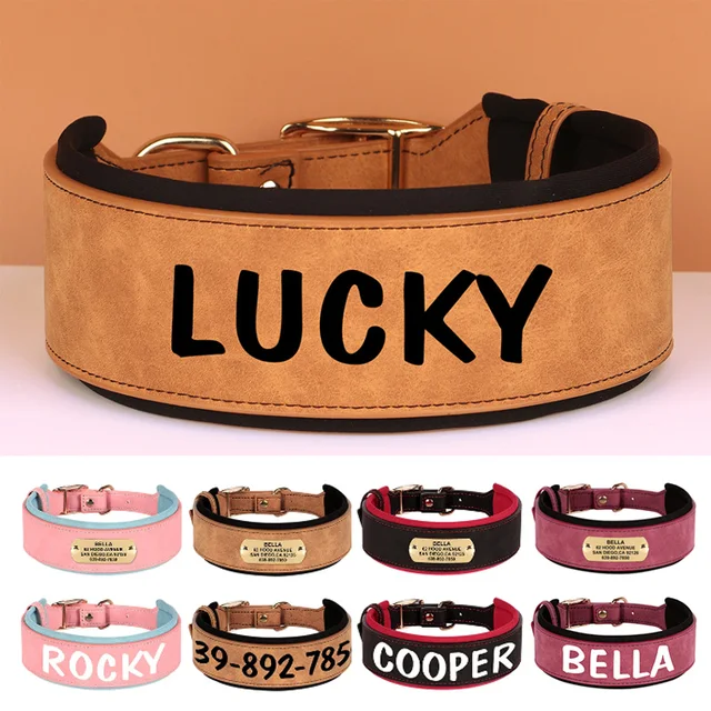 Wide Customized Dog Collar 1