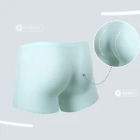 Sous-vêtements pour hommes, boxeurs en soie glacée avec estampage 3D, boxeurs fins sans couture, Shorts courts de sport allongés pour l'été 2
