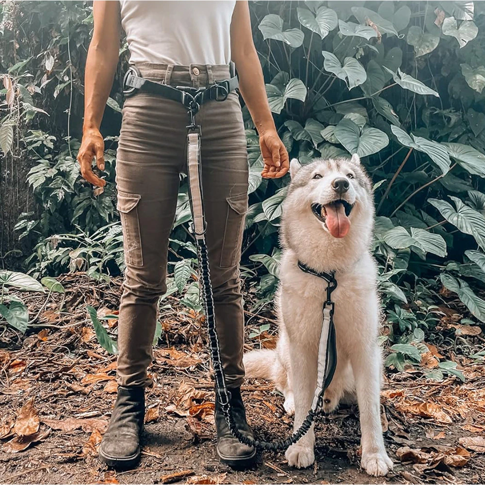 Handsfree hundkoppel med midjebälte och reflexdetaljer_voghion.com