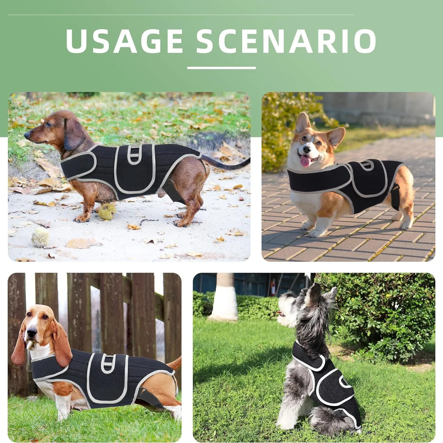 Pet Protective Gear for Dog Intervertebral Disc Injuries, Support Vest, Pet Back Fracture Pain Relief Band