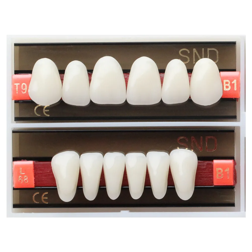B1ShadeDentalSatural2LayerSyntheticResinPolymerAnterior