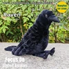 Raven Plush Toy High Fidelity Crow Plushie Corvus Corax Peluche Lifelike Stuffed Animals Simulation Doll Kawai Toy Gifts 1