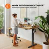 Whole Piece Standing Desk, 40x24 Inch Thick Adjustable Desk , Electric Sit Stand Desk with Cable Management Tray 2