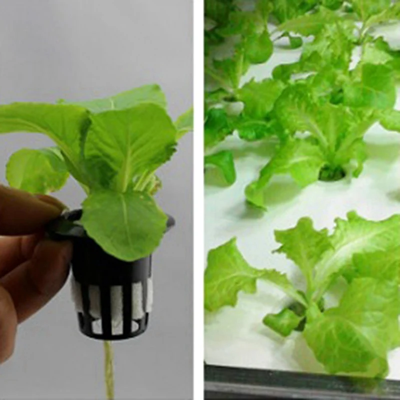 Nursery Pots Plant Propagation Pots Hydroponic Plant Pots 50pcs Black Hydroponic Baskets Sponge Garden Vegetable Soilless Planting Sponge Nursery Pots Foam Plants Root Fixed