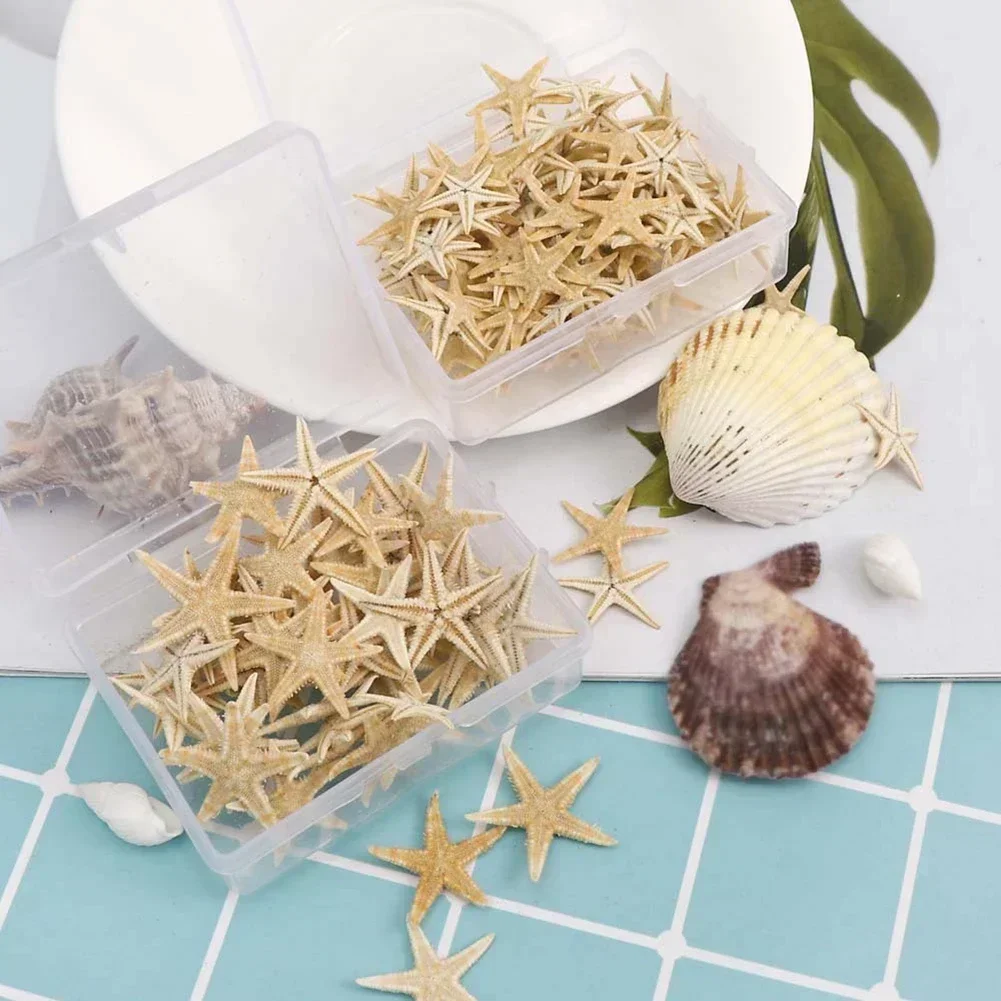 Starfish Natural Starfish Seashell Beach Craft Natural Sea Stars DIY Beach Wedding Decoration Crafts Home Decor 20/50/100pcs