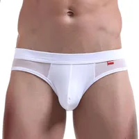 New Mens Back Hollow Out Briefs Transparent Mesh Sexy U Convex Penis Pouch Thongs Gay Underwear Erotic Fetish Jockstrap Lingerie 2