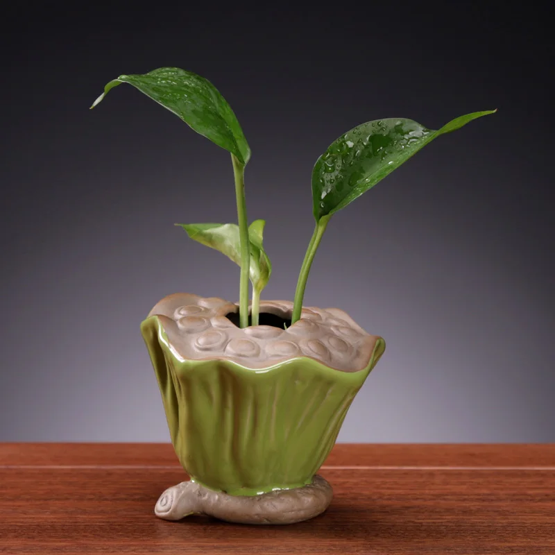 

Cute Plant Mini Hydroponies Flower Vase Fruit Green Ceramic Vase Desk Decor Accessories Vasos Decorativos Vintage Desk Decor