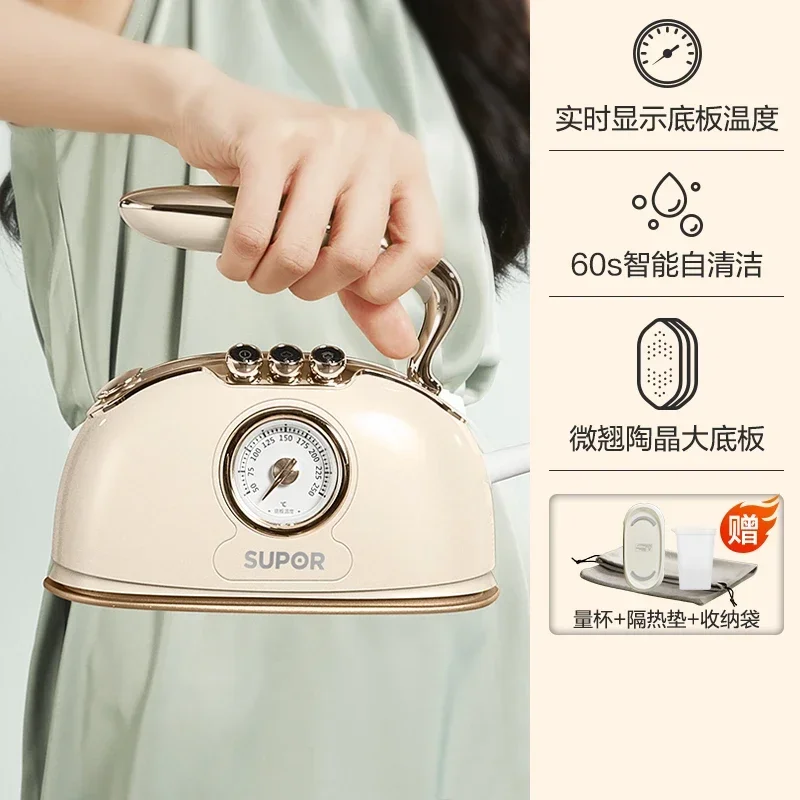 220V Portable Handheld Electric Iron with Steamer Function for Home use 6