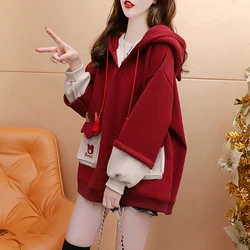 Women's Hoodies Thick Autumn Winter Velvet Warm Sweatshirts Korean Girls Oversize Comic Bear Embroidery Hooded Loose Tops