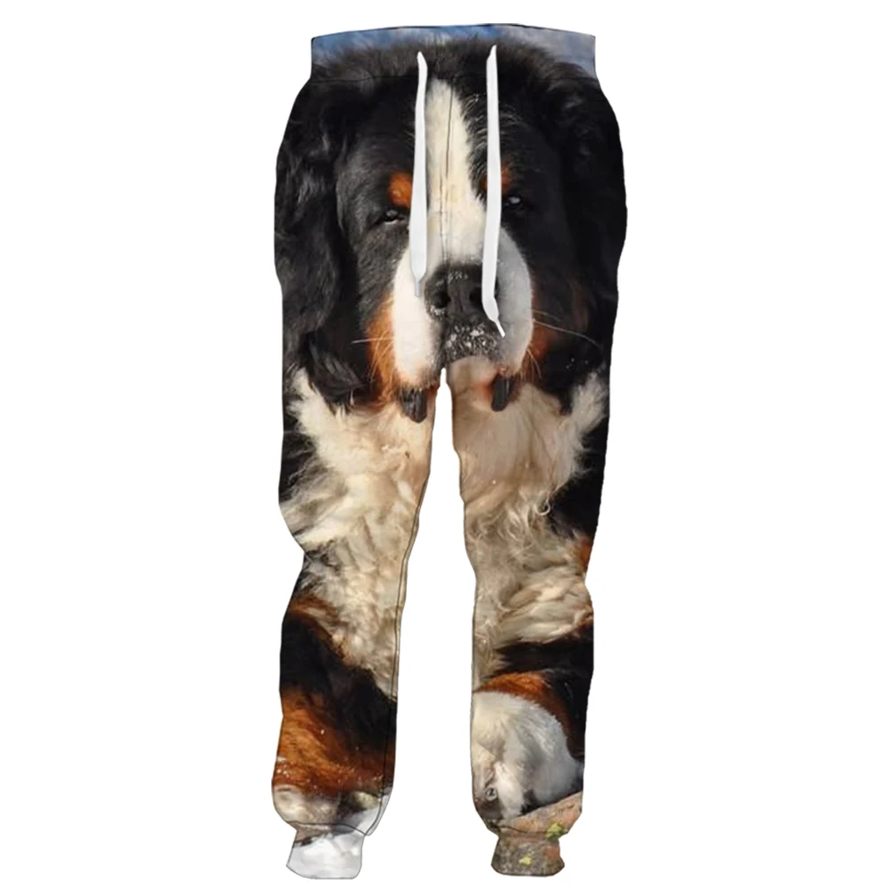 

HX Fashion Mens Pants Bernese Mountain Dog 3D Printed Trousers Casual Sweatpants Joggers Men Clothing Ropa De Hombre