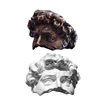 Versatile Sculpture Rings Adornment With Adjustable Size For A Distinctive Fit 1