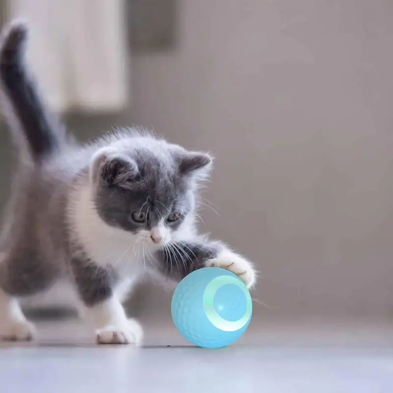 Interactive Rechargeable Dog Rolling Ball Toy