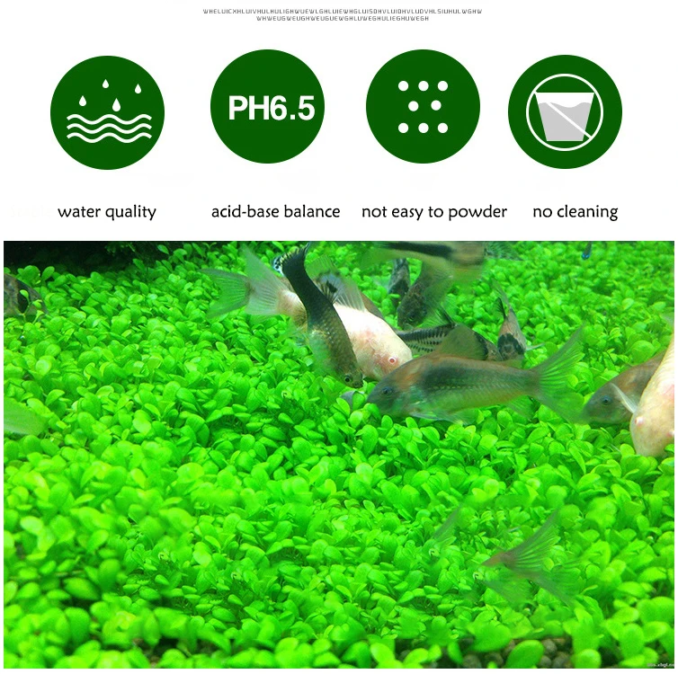 Water Plant Grass Soil Aquarium Substrate Fish Tank Plant Growth Fertility  Substrate Soil For Aquarium Grass Lawn Decoration - Aquarium Substrate -  AliExpress