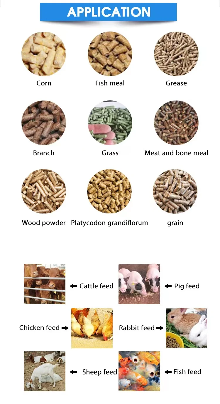 High Output Home Use Poultry Chicken Goose Feed Pellet Machine Best Price for Sa