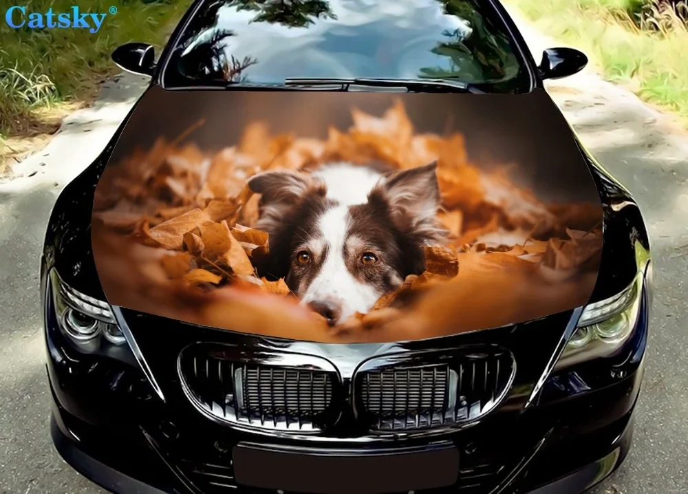 

Animal - Border Collie Car Hood Vinyl Stickers Wrap Vinyl Film Engine Cover Decals Sticker Car Accessories Car Hood Protector
