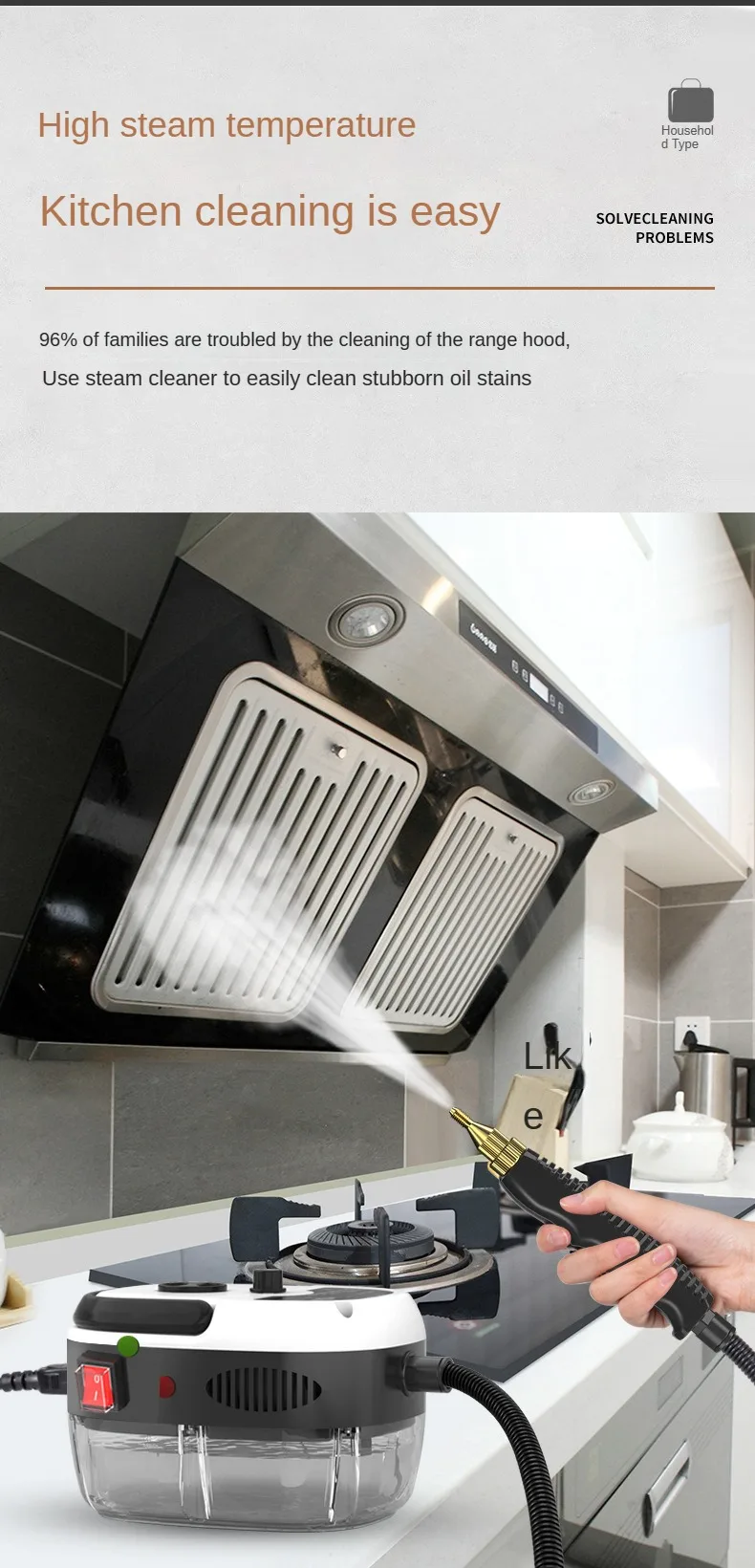 Steam Cleaner in Use