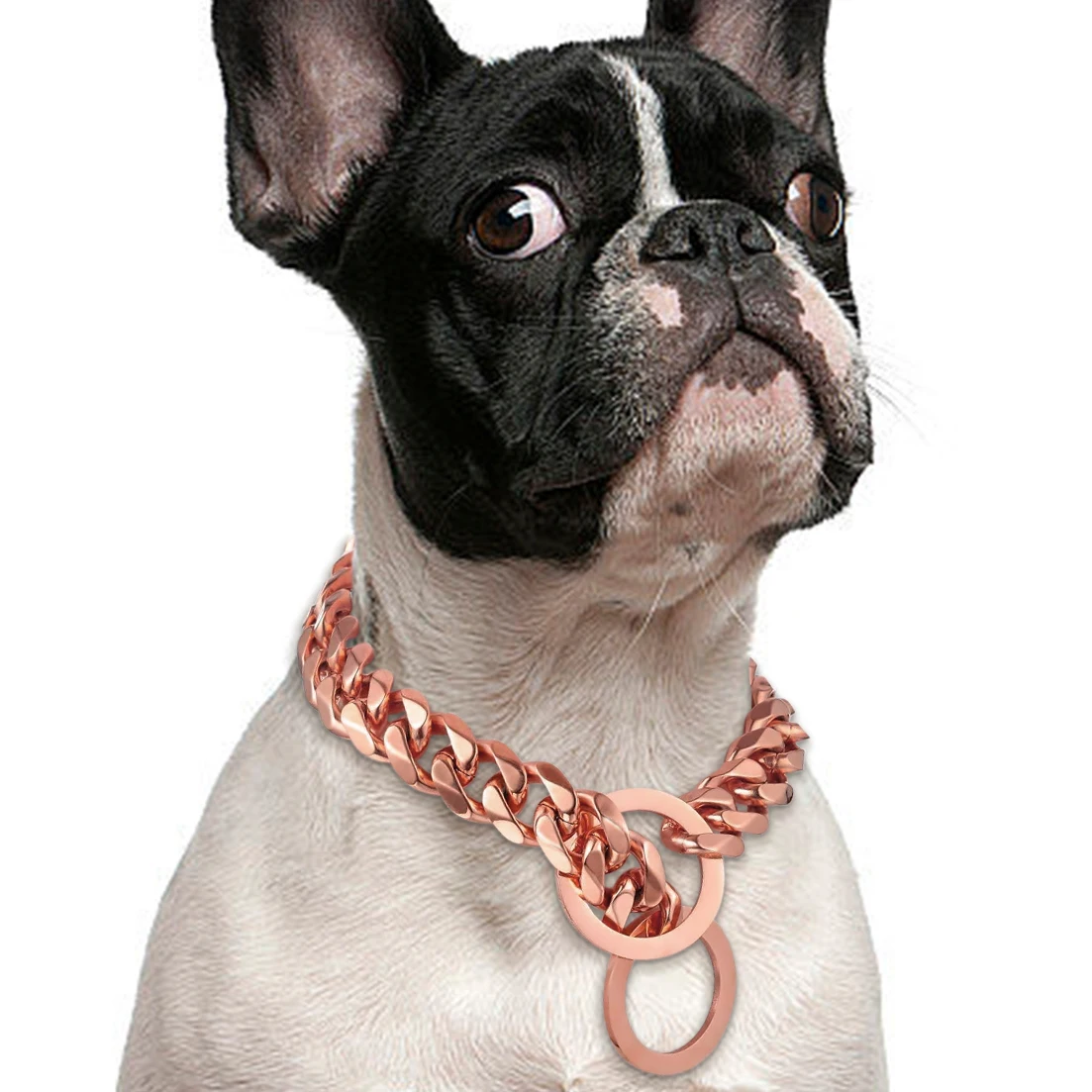 Rose Gold Chain Dog Collar