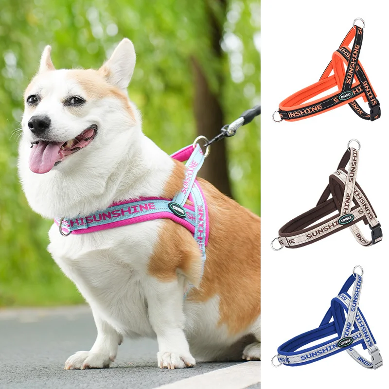 Peitoral canino com estampa e detalhe refletivo — foto principal