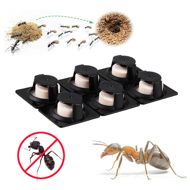 6Db -Os Hangya Ügynök Csali Rovar Kártevő Gyilkos Por Kártevőirtás Pusztítsd El A Hangyák Taszító Csapdát Ölnek Baits Kert Otthon