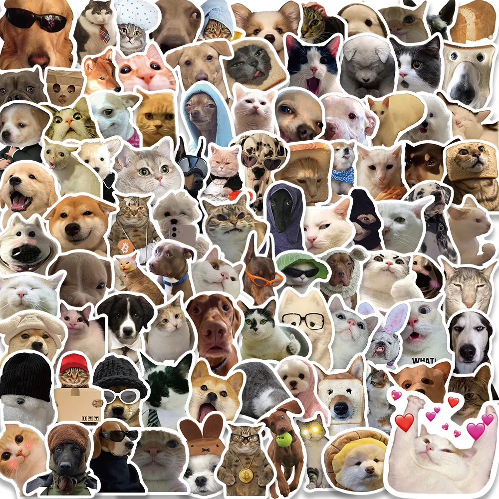 100 Pieces Funny Meme Sticker Set, Vinyl Stickers for Car 100 Pieces Funny Meme Sticker Set, Vinyl Stickers for Car