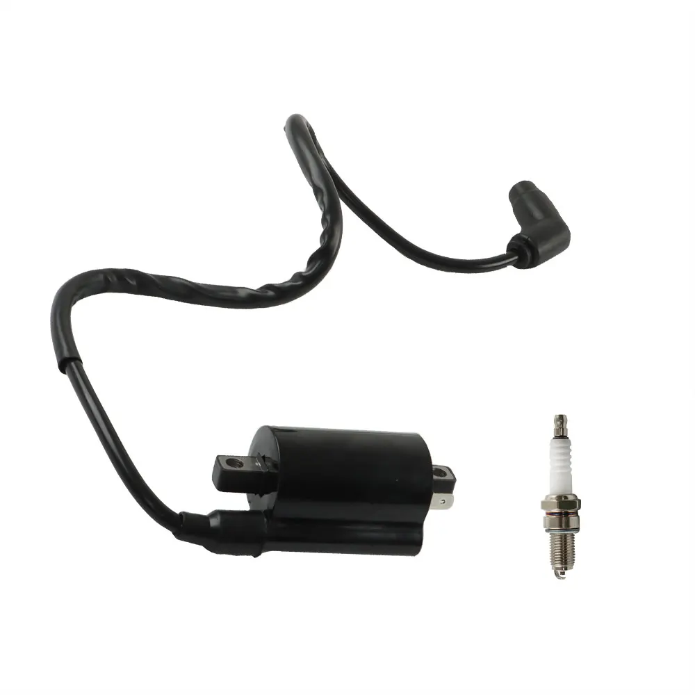 Рисунок 3 - Катушка зажигания и Свеча зажигания