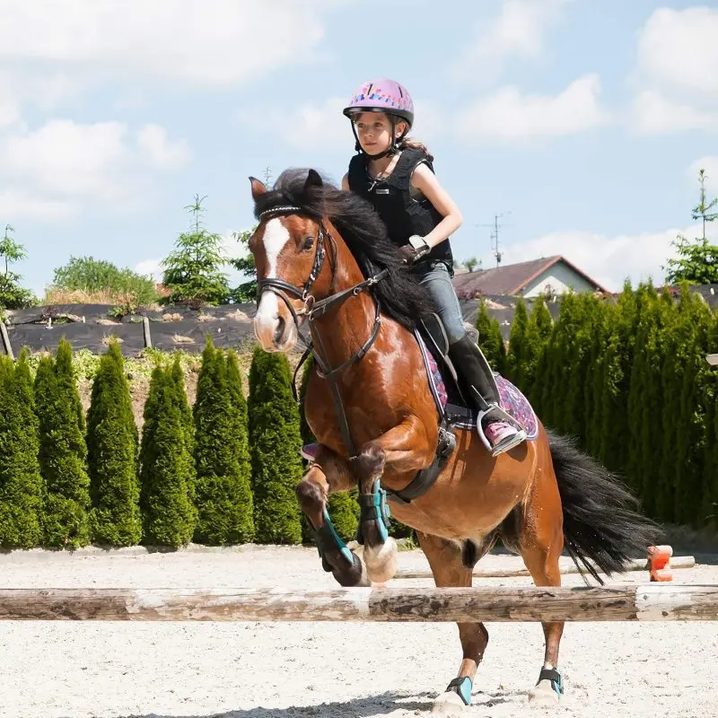 New Kids Horse Riding Safety Helmet Adjustable Equestrian Helmet Head Protective Gear Riders for 3 to 8 Year olds 3
