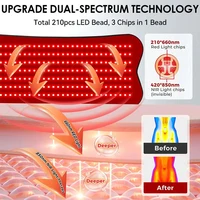Ceinture de thérapie à la lumière rouge à 210 LED, pour soulager la douleur, coussin de lumière infrarouge rouge 850nm pour la taille, le dos, l'abdomen, les genoux et les poignets des articulations musculaires 2