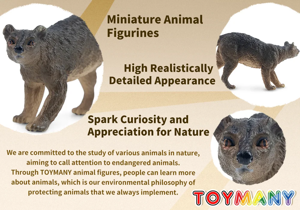 Toymany Simulation Fossa Madagaskar Tier Modell Spielzeug Mini Figuren Puppen Action Figuren Spielzeug Kinder Geschenk Kuchen Dekoration – Detail 11