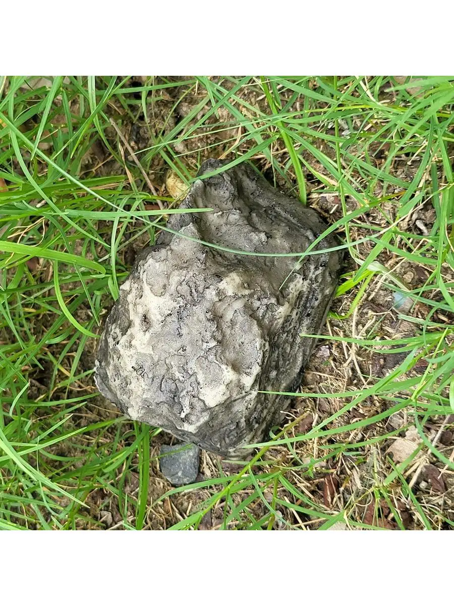 Llave de jardín de repuesto para exteriores, caja de seguridad oculta en piedra, almacenamiento seguro, contenedores ocultos, Mini caja de seguridad, casillero Mni