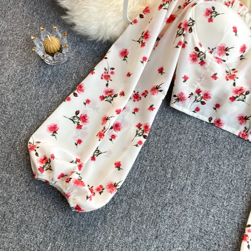  Ʈ   ̽  콺,    ,  ƮƮ, ø м ũž