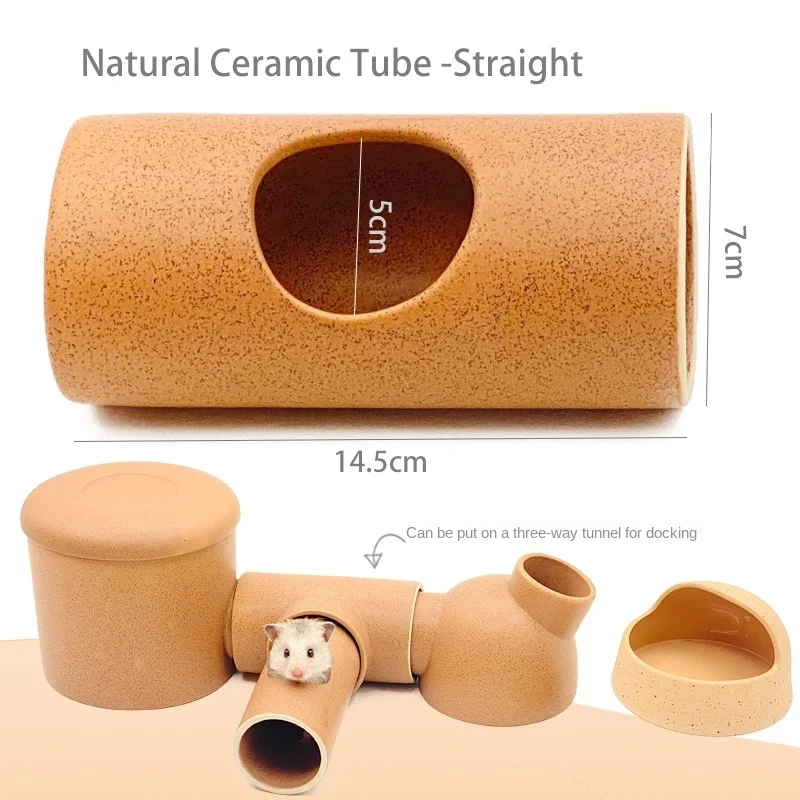 Image showcasing Cool Hamster Accessories