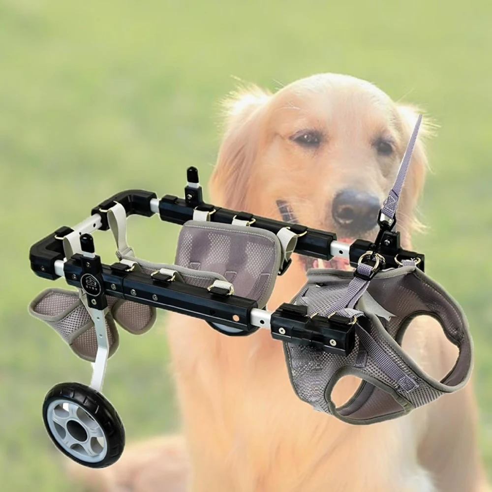 Dog And Cat Hind Leg Wheelchair Adjustable Dog Hind Leg Wheelchair  Disabled Pet Walker With Hind Leg Support And Hip Support