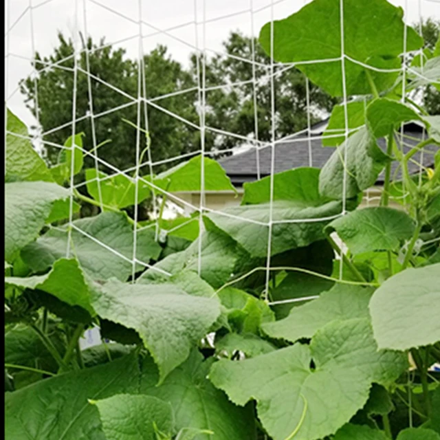 Garden Plant Trellis Netting Garden Square Mesh Netting for Climbing Plants Outdoor, Fruits, Vegetables, Vines, Grow Tents 4