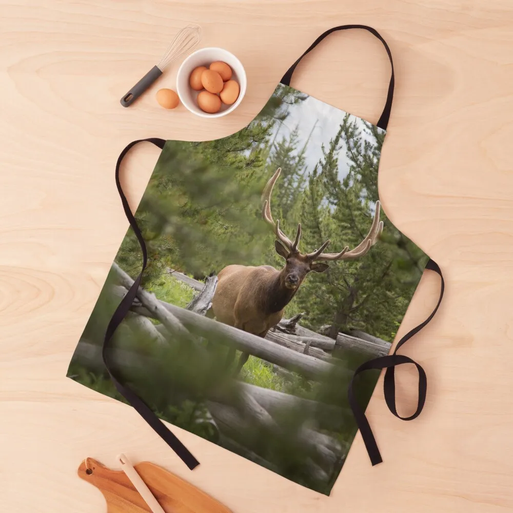 

Elk Up Close Apron Kitchen For Men Customizable kitchen gadgets Apron