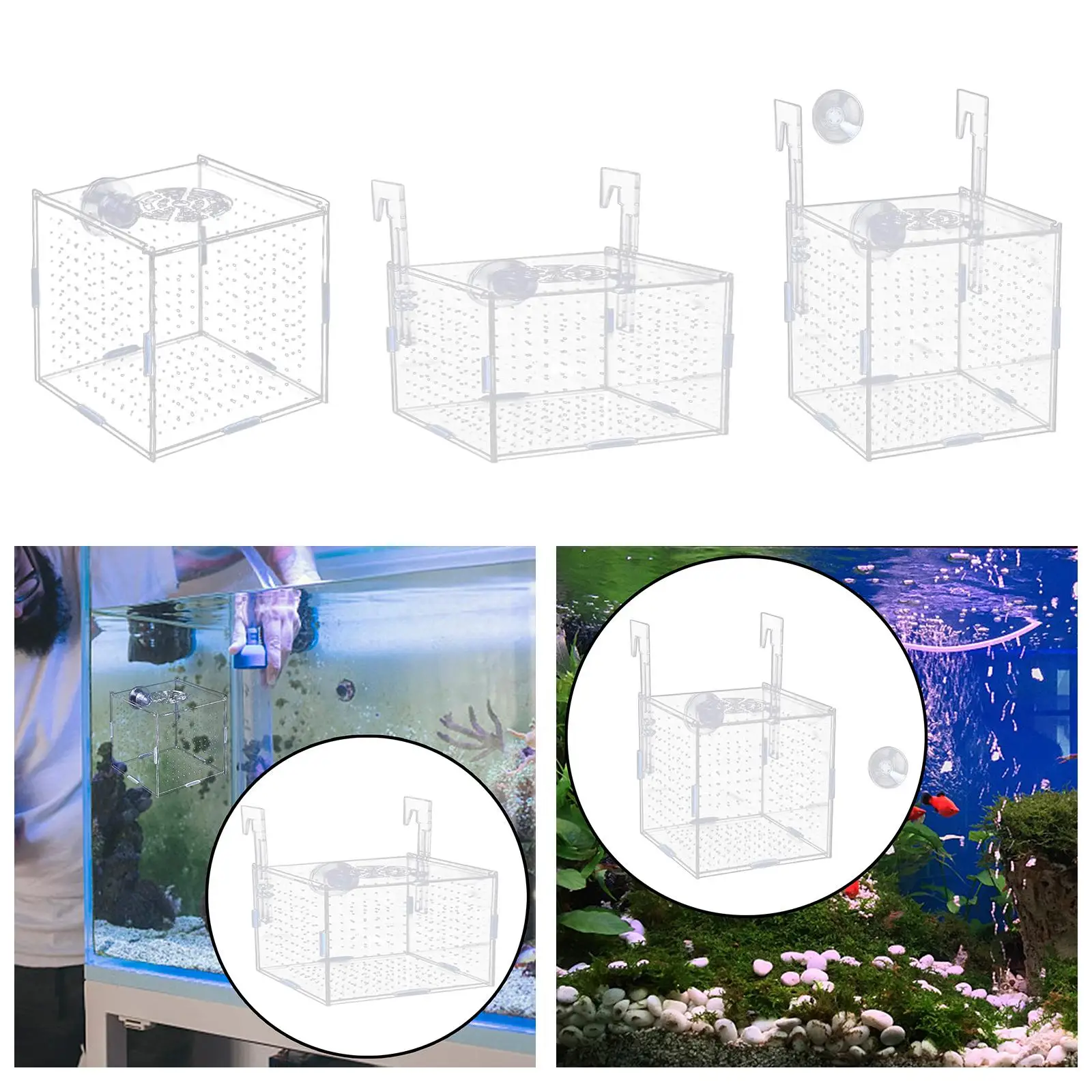 Aquarium Isolation Box Fish Breeding Holder
