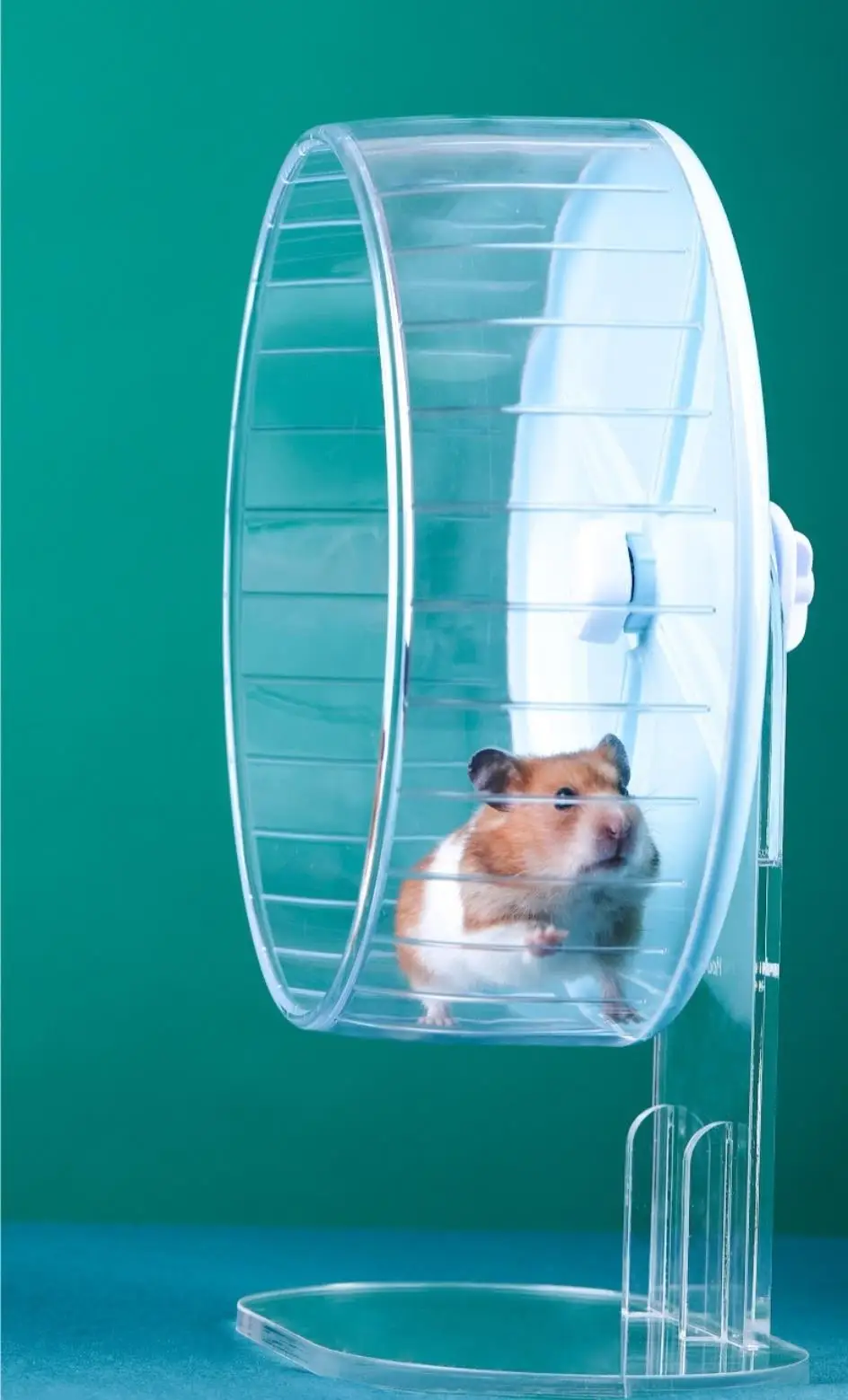 Title 3, Hamster Running Wheel Toy Roller Silent Bracket...