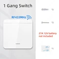 1 Gang Switch