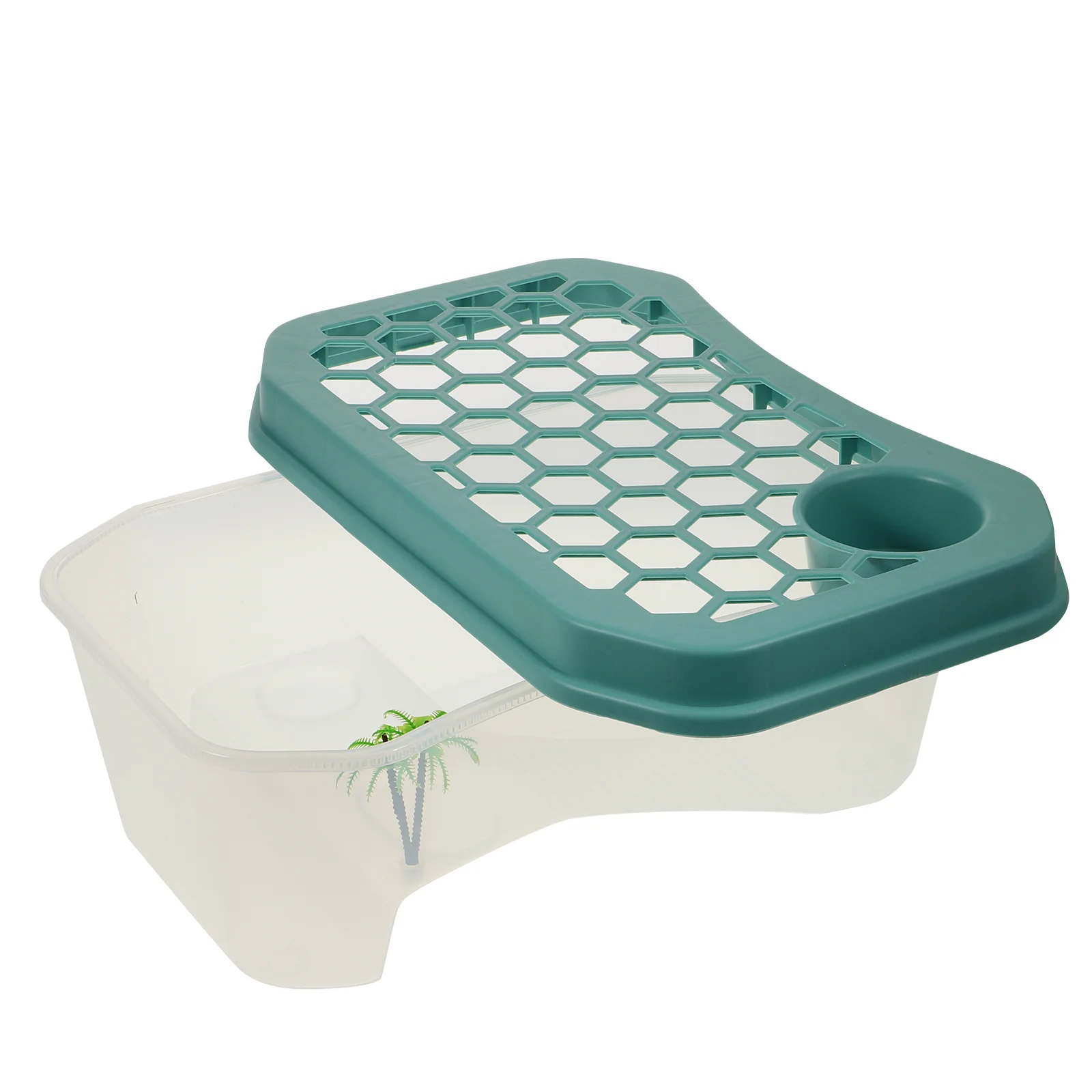 

Turtle Tank Plastic with Platform Tortoise Breeding Sea ​​turtle Raising Home Habitat Aquarium