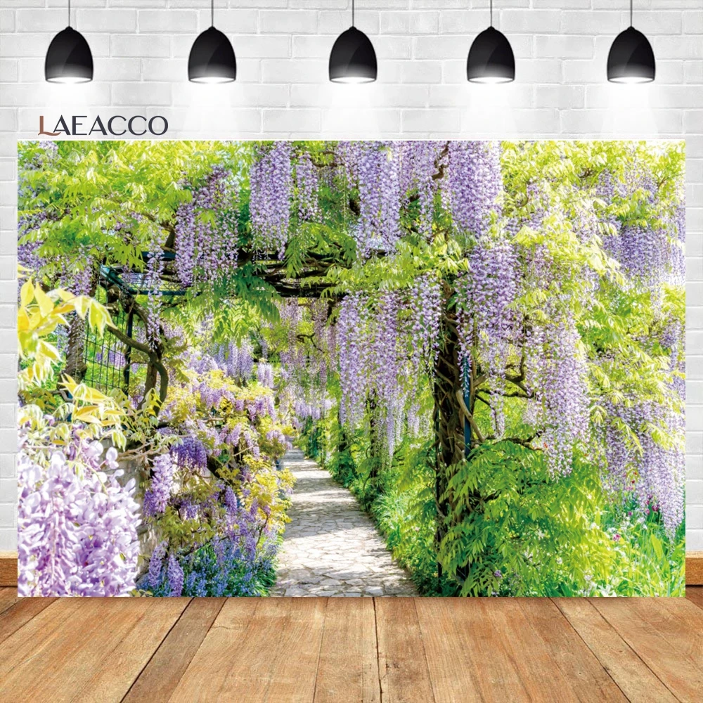 Laeacco ö    , ڿ ,  , ȶ, Ȩ  Ƽ ʻȭ 