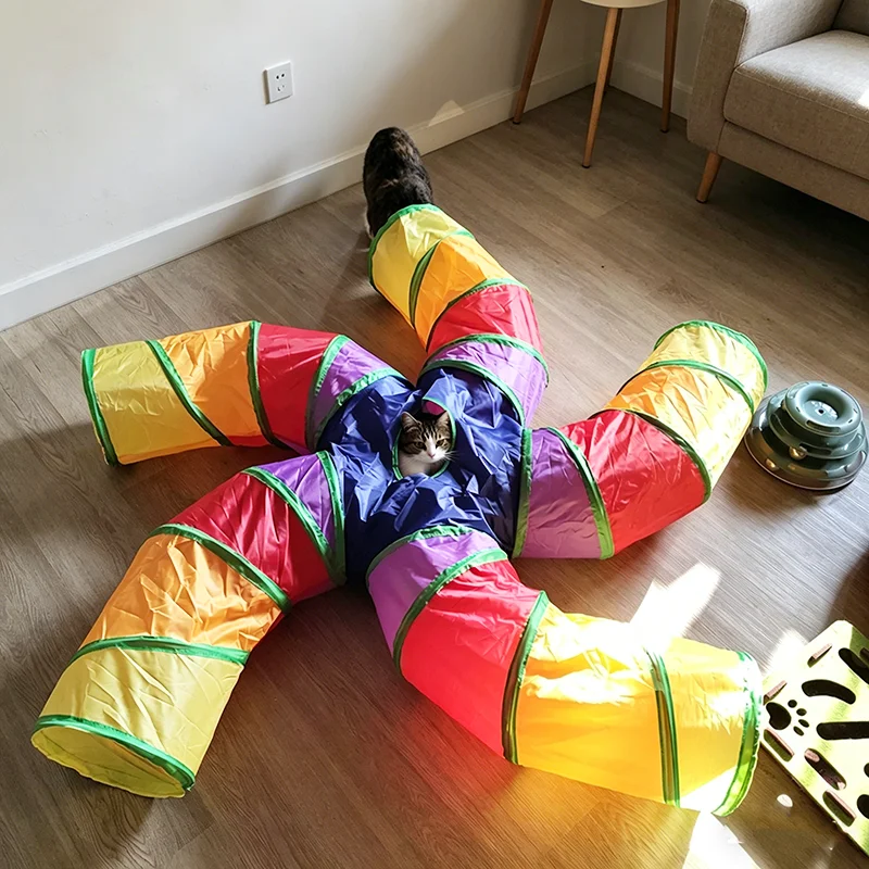 Collapsible Cat Maze Toy 4