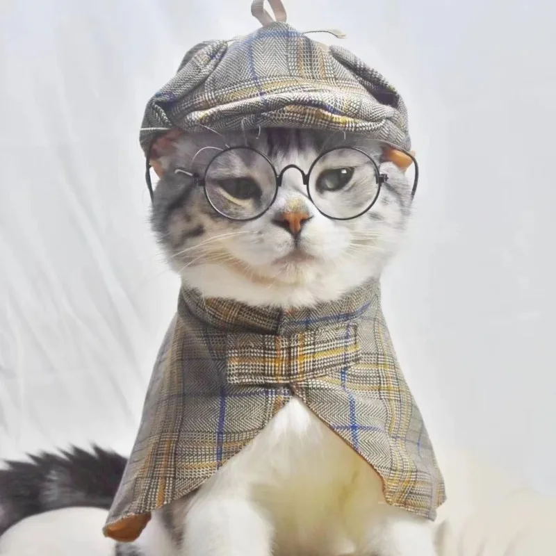 Pet Detective Costume Set 1