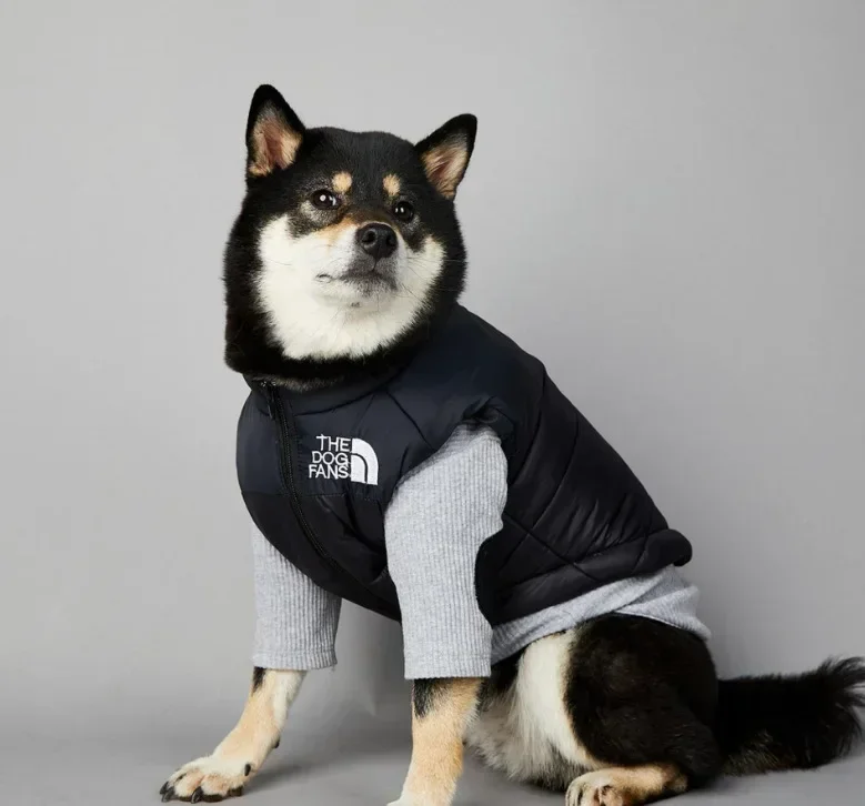 DogFacePunchLargeWinterWarmRaincoatAntiPetCottonClothing