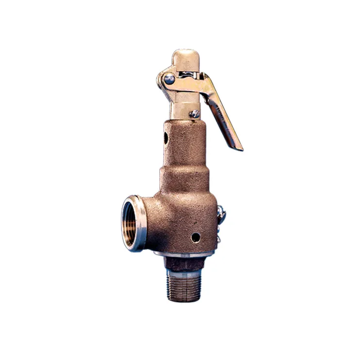 

Valve Series 6000 Safety Relief s with APEX4000 positioner