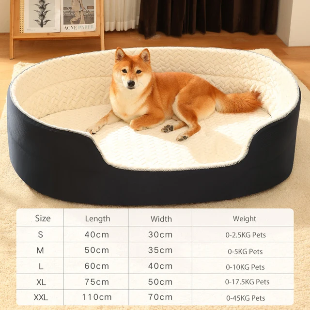 without cushion A