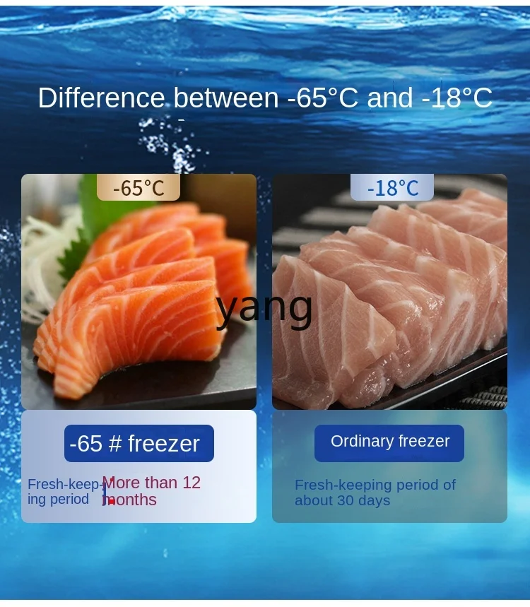 L'm'm Household minus-40/60 Degrees Freezer Refrigerator Commercial Seafood Quick Freezer