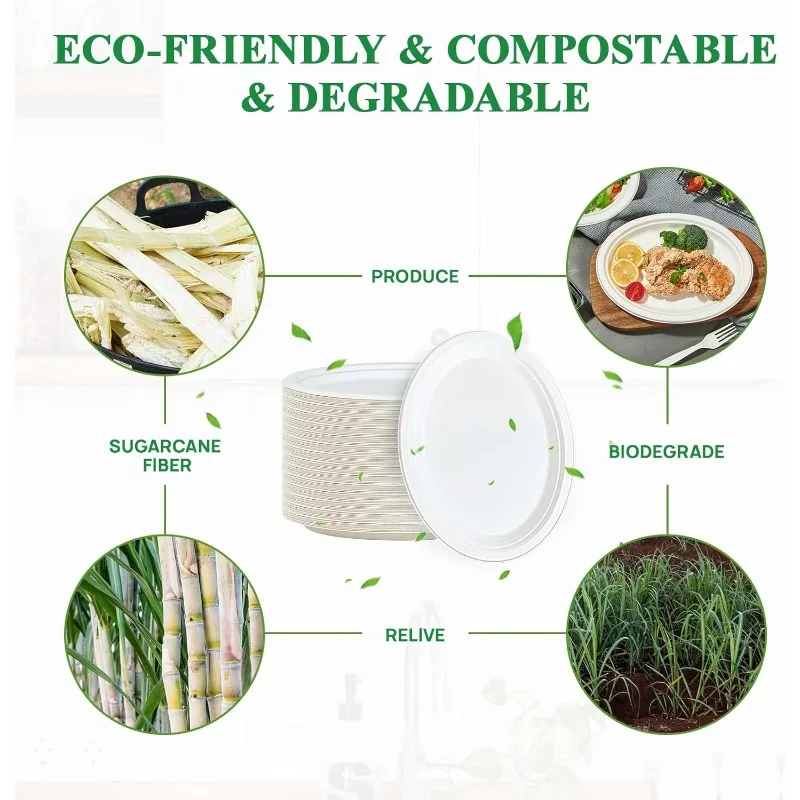 100% Compostable Oval Paper Plates 12 inch 125 Pack Super Strong Disposable Paper Plates Bagasse Natural Biodegradable