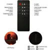 24" Free Standing Electric Fireplace Log Set Insert, 750W/1500W Heater, 6 Flame Colors with 5 Brightness, Crackling Sound 3