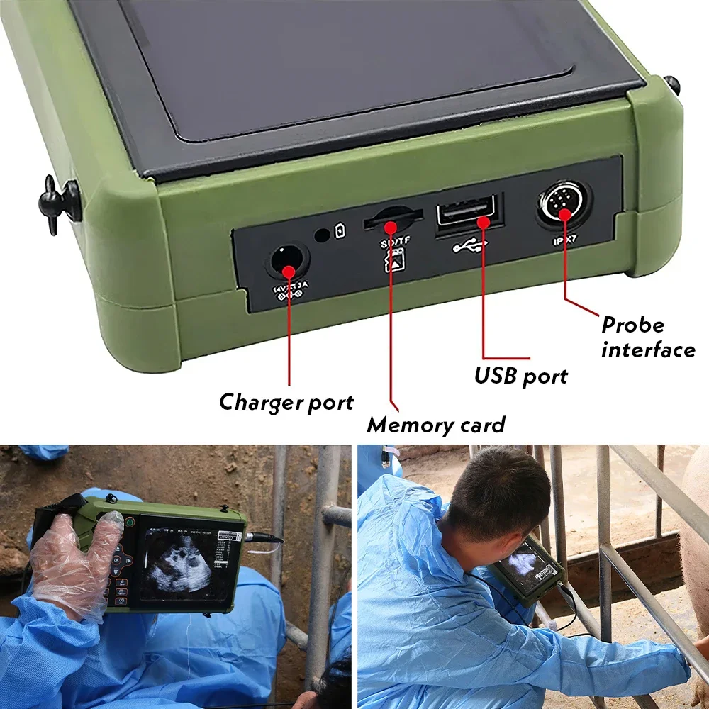 Veterinary Ultrasound Scanner 3.5MHz Convex Probe Vet Pregnancy Ultra Machine fo