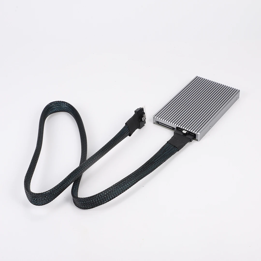 External Video Card V100 SlimSAS SFF-8654 8i To 2*M.2 2280 Nvme